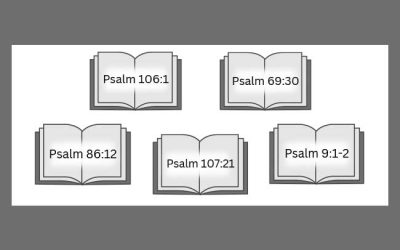 A Season of Thankfulness